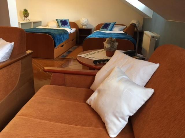 Hotel Krivan Kysucke Nove Mesto エクステリア 写真